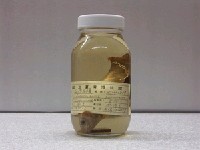 藏品(臺灣石(魚賓))的圖片